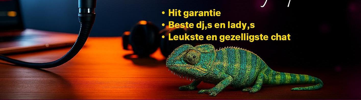 https://radio-kameleon.nl/