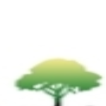 reenak1263