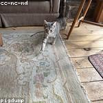 Mathias Williamson Profile Picture