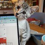 Zachariah Simonis Profile Picture