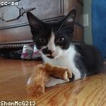 Libby Weimann Profile Picture