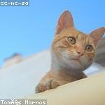 Horace Zboncak Profile Picture