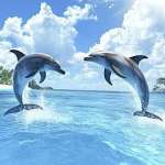 Danielle Profile Picture